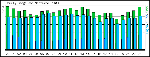 Hourly usage