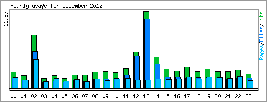 Hourly usage