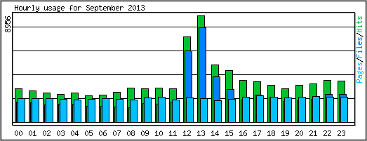 Hourly usage