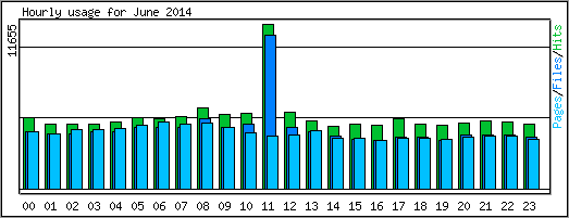 Hourly usage