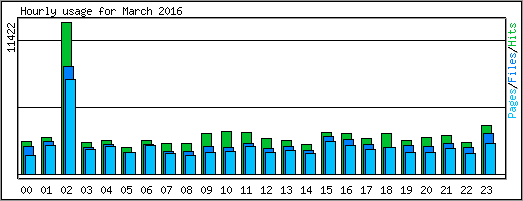 Hourly usage