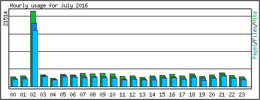 Hourly usage