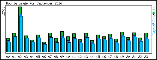 Hourly usage