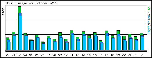Hourly usage