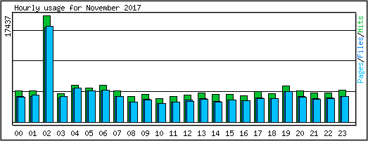Hourly usage