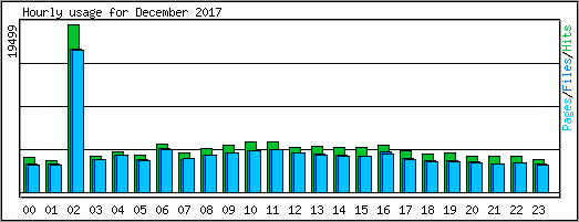 Hourly usage