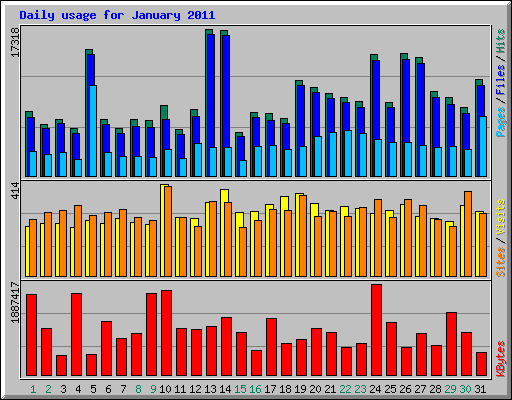 Daily usage for January 2011