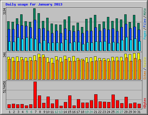 Daily usage for January 2013