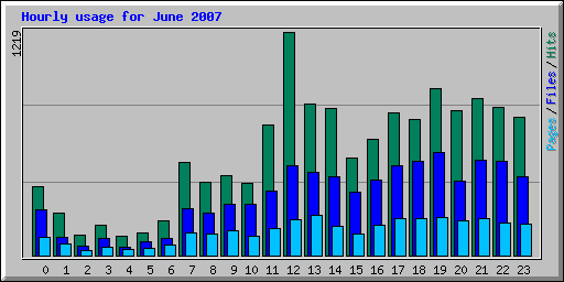 Hourly usage for June 2007