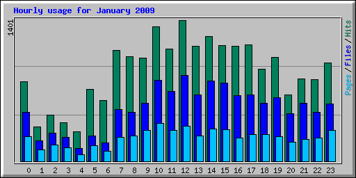 Hourly usage for January 2009