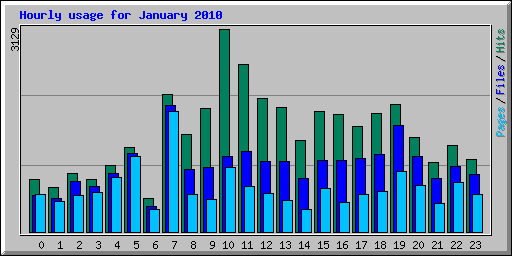 Hourly usage for January 2010