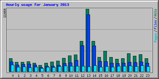 Hourly usage for January 2013