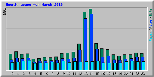 Hourly usage for March 2013
