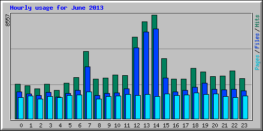 Hourly usage for June 2013