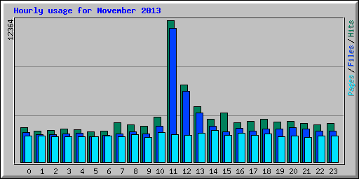 Hourly usage for November 2013