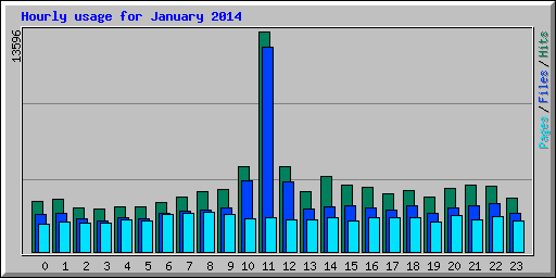 Hourly usage for January 2014
