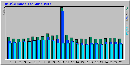 Hourly usage for June 2014