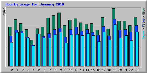 Hourly usage for January 2016
