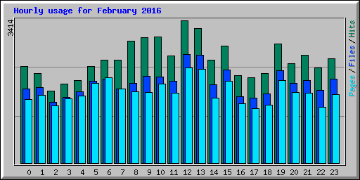 Hourly usage for February 2016