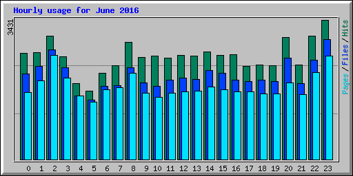 Hourly usage for June 2016