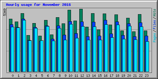 Hourly usage for November 2016