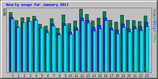 Hourly usage for January 2017